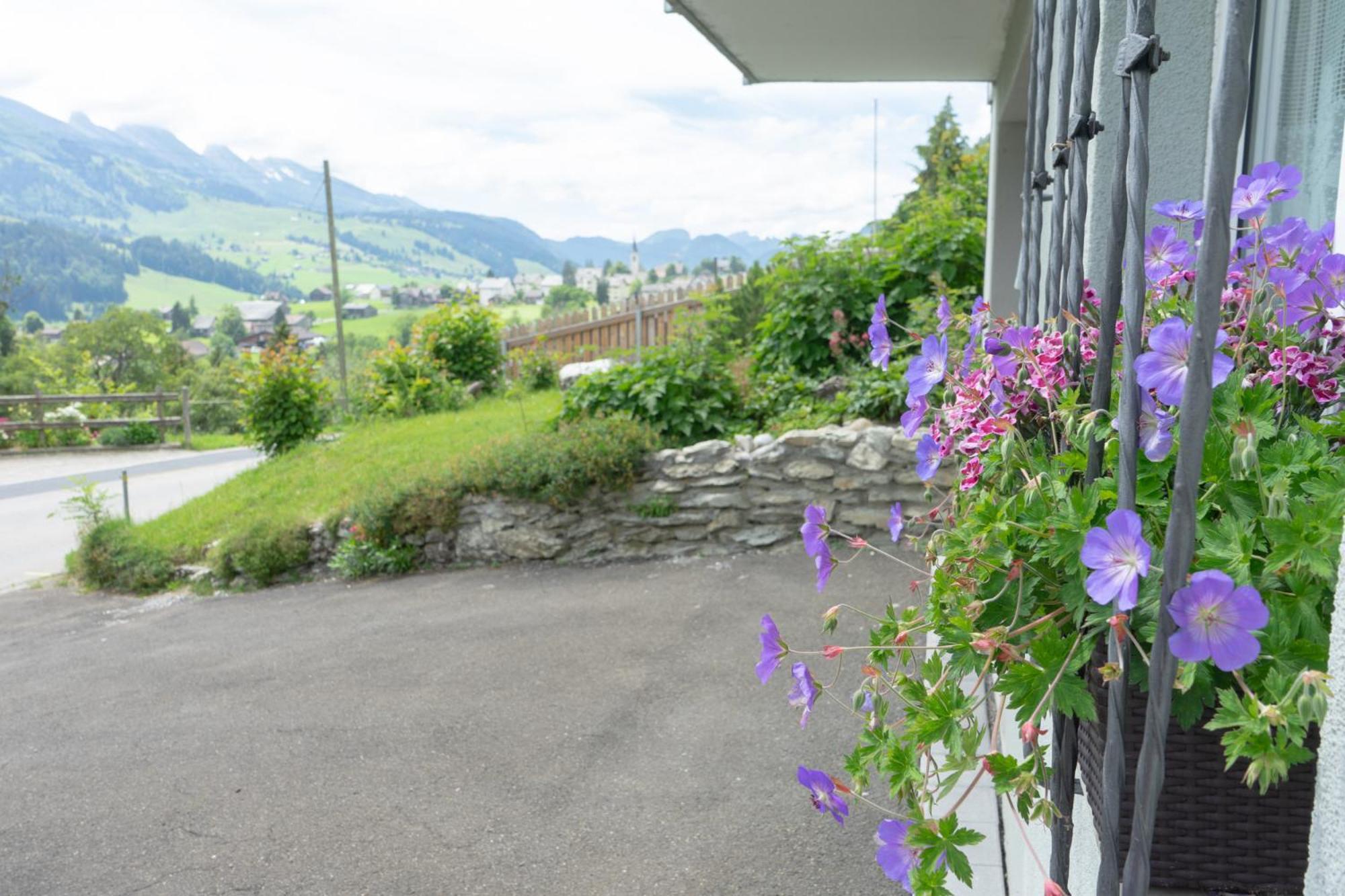 Wiesel Wildhaus Extérieur photo
