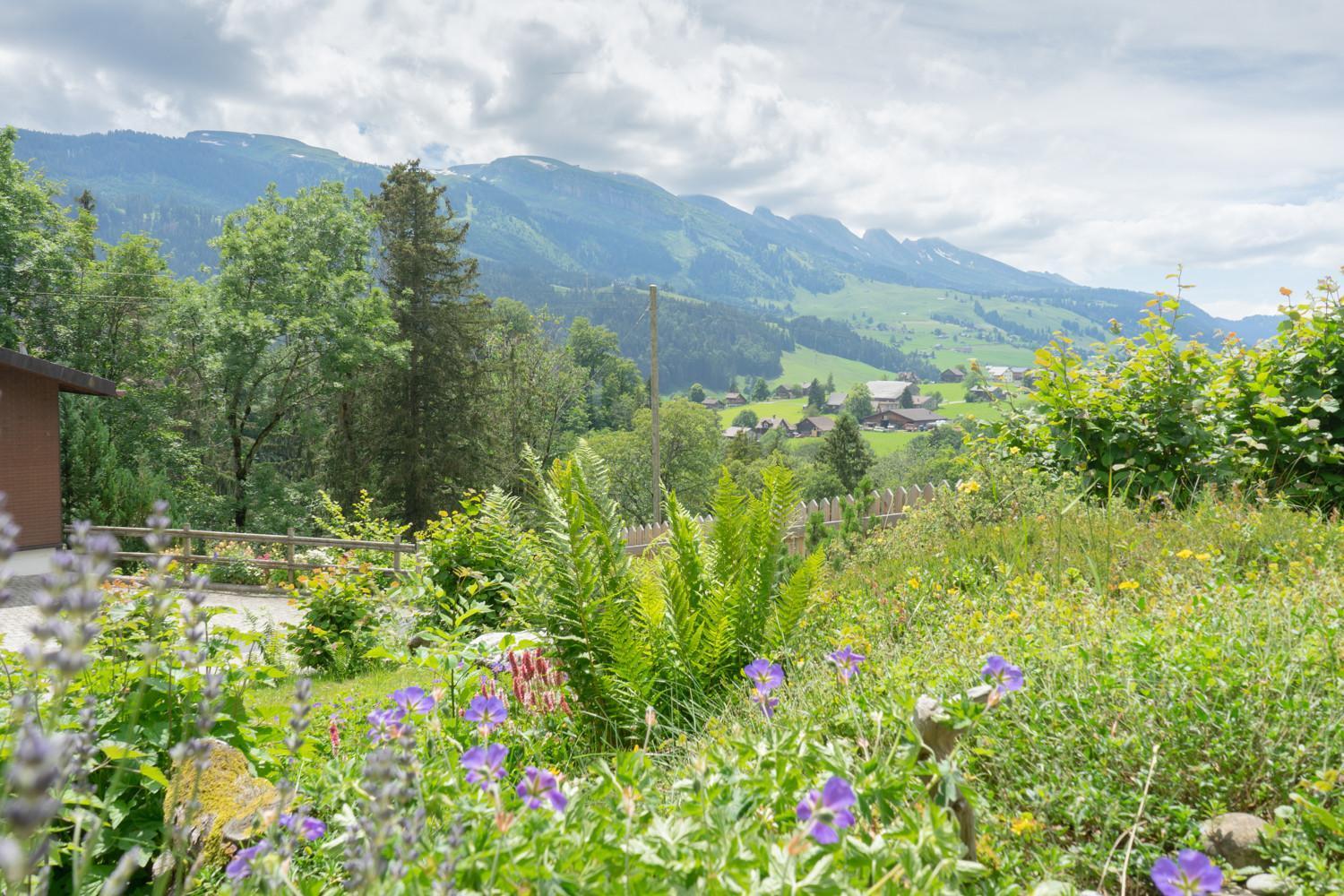 Wiesel Wildhaus Extérieur photo